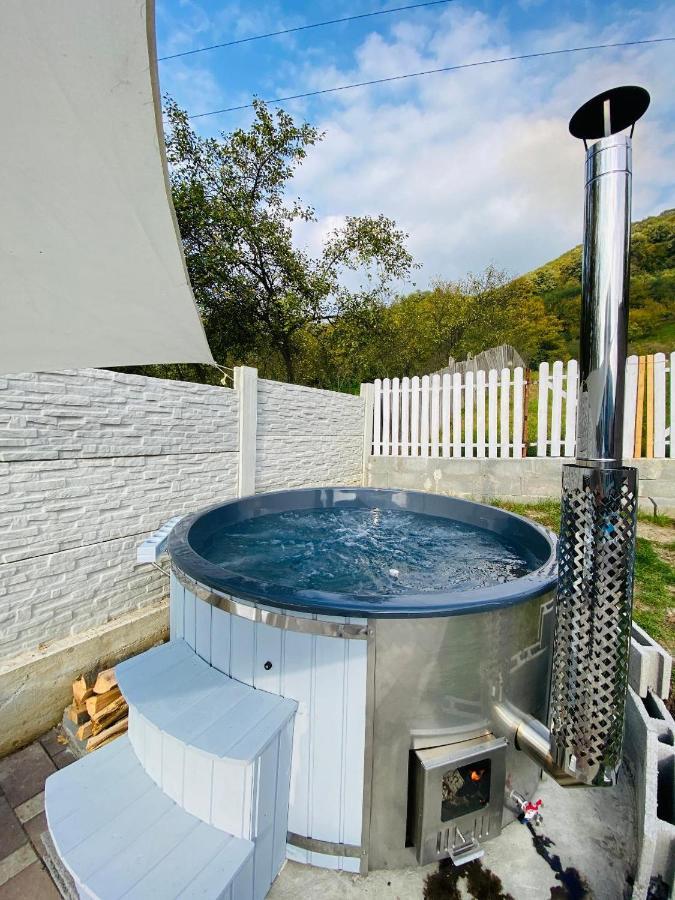 Green Hill Villa Călimăneşti Exteriör bild