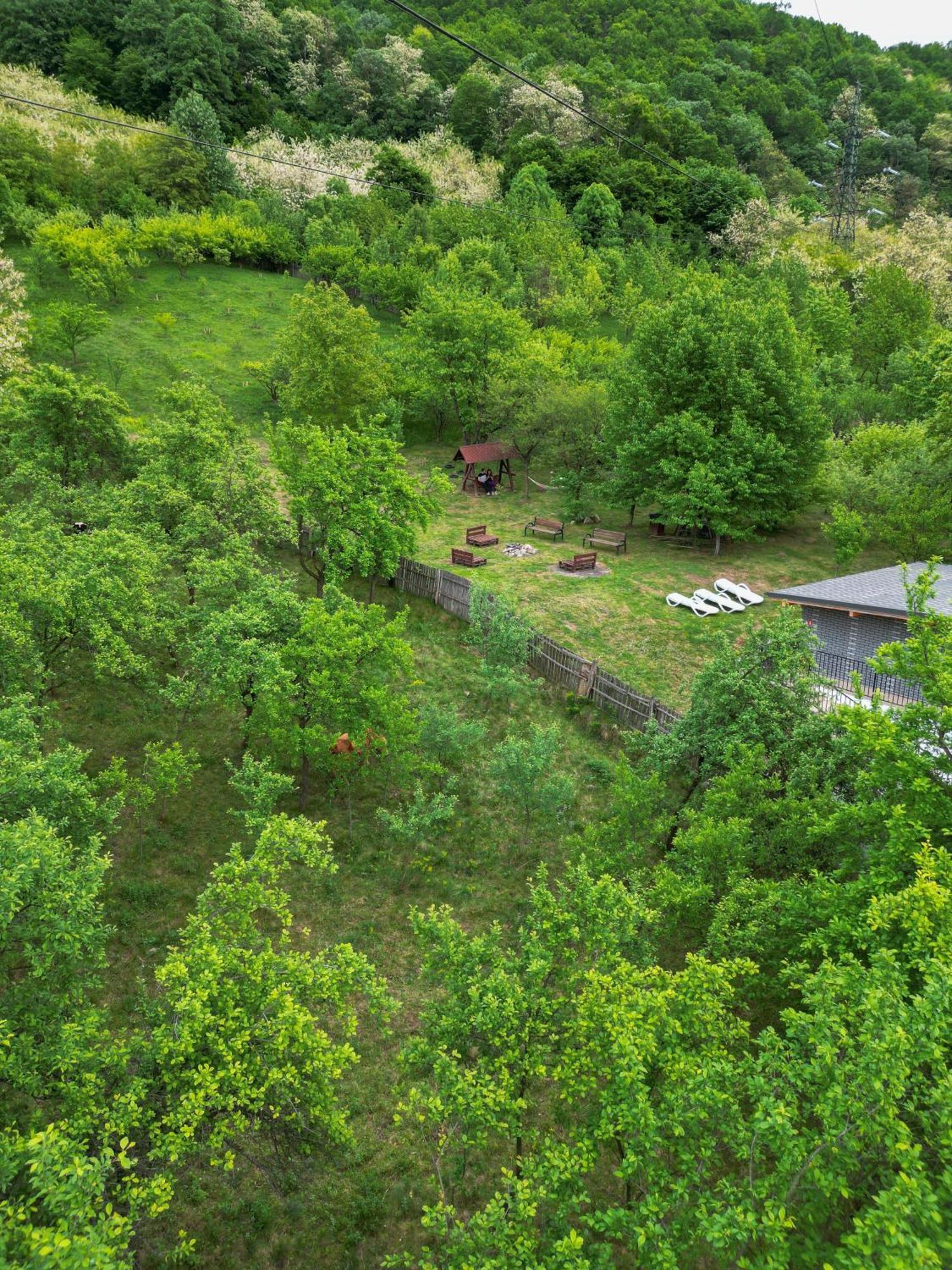Green Hill Villa Călimăneşti Exteriör bild